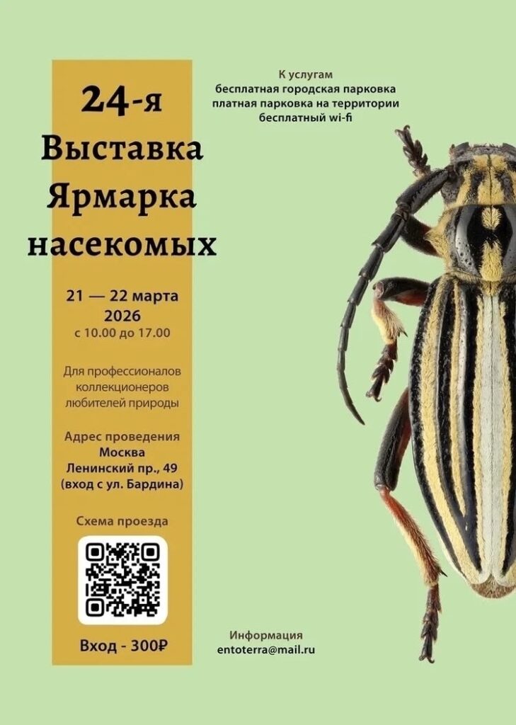 Ярмарка 2026_2